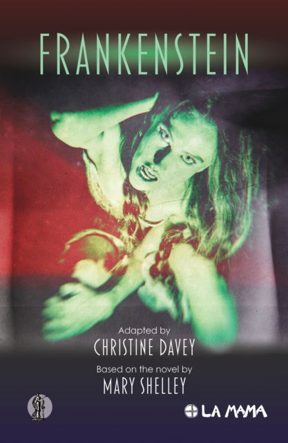 Cover for Christine Davey · Frankenstein (Paperback Book) (2023)