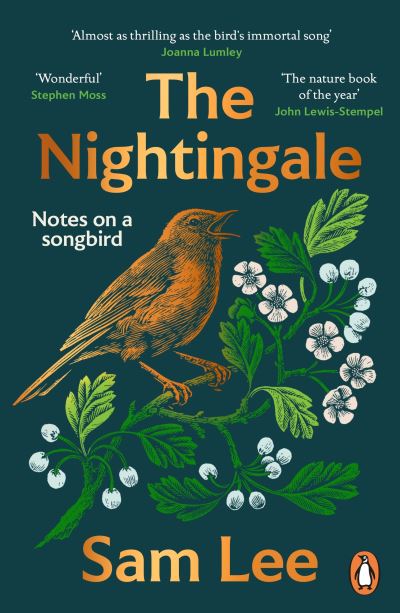 The Nightingale: ‘The nature book of the year’ - Sam Lee - Kirjat - Cornerstone - 9781804942291 - torstai 6. huhtikuuta 2023