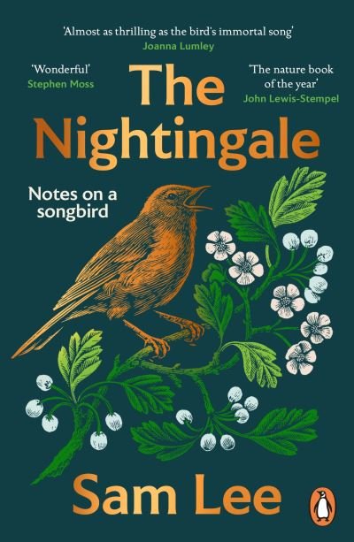Cover for Sam Lee · The Nightingale: ‘The nature book of the year’ (Paperback Bog) (2023)