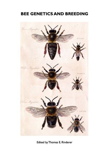 Cover for T E Rinderer · Bee Genetics and Breeding (Paperback Bog) (2010)