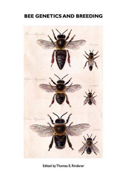Bee Genetics and Breeding - T E Rinderer - Books - Northern Bee Books - 9781904846291 - July 22, 2010