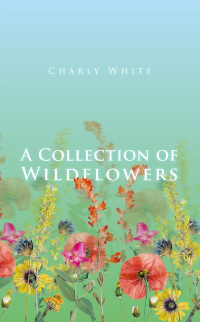 Cover for Charly White · A Collection of Wildflowers (Book) (2024)