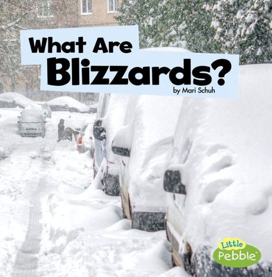 What Are Blizzards? - Mari Schuh - Boeken - Capstone - 9781977103291 - 2019