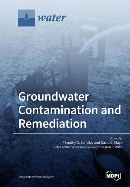 Cover for Timothy D Scheibe · Groundwater Contamination and Remediation (Pocketbok) (2018)
