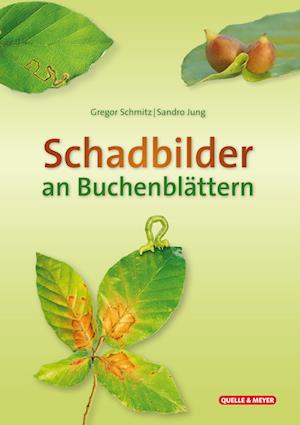 Schadbilder an Buchenblättern - Gregor Schmitz - Książki - Quelle & Meyer - 9783494019291 - 12 października 2022