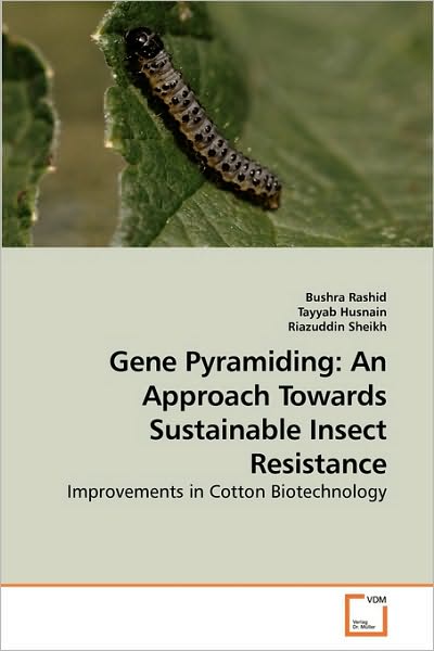 Cover for Riazuddin Sheikh · Gene Pyramiding: an Approach Towards Sustainable Insect Resistance: Improvements in Cotton Biotechnology (Paperback Book) (2010)