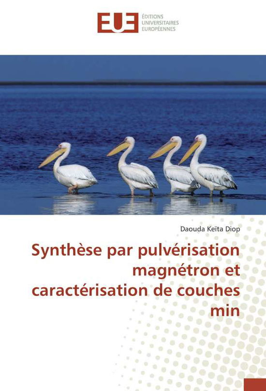 Cover for Diop · Synthèse par pulvérisation magnétr (Book)