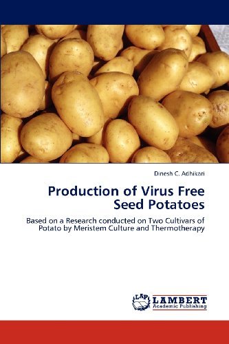 Cover for Dinesh C. Adhikari · Production of Virus Free Seed Potatoes: Based on a Research Conducted on Two Cultivars of Potato by Meristem Culture and Thermotherapy (Paperback Book) (2012)