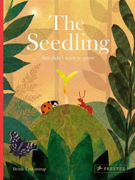 Cover for Britta Teckentrup · The Seedling That Didn't Want to Grow (Gebundenes Buch) (2020)
