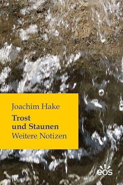 Cover for Hake · Trost und Staunen (Book)