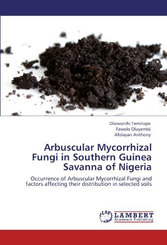 Cover for Afolayan Anthony · Arbuscular Mycorrhizal Fungi in Southern Guinea Savanna of Nigeria: Occurrence of Arbuscular Mycorrhizal Fungi and Factors Affecting Their Distribution in Selected Soils (Taschenbuch) (2011)