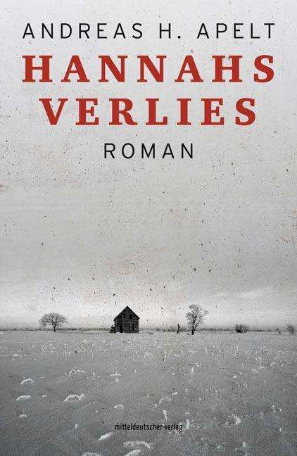 Cover for Apelt · Hannahs Verlies (Book)