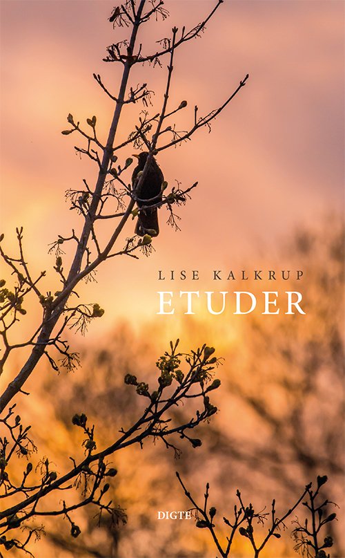 Cover for Lise Kalkrup · Etuder (Poketbok) [1:a utgåva] (2023)