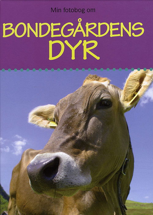 Cover for Thomas Downs · Min Fotobog Om Bondegårdens Dyr (Bound Book) [1st edition] (2009)