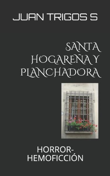 Cover for Juan Trigos S · Santa Hogarena Y Planchadora (Paperback Book) (2020)