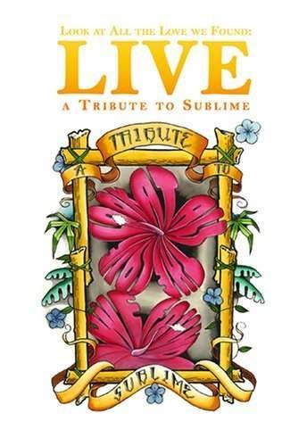 Cover for Sublime · Various (Tribute) Look at All (DVD) [Tribute edition] (2006)
