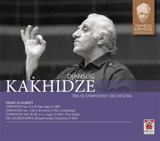 Cover for Schubert / Tbilisi Symphony Orch / Kakhidze · Symphonies (CD) (2017)