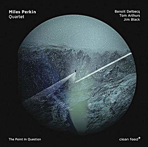 Cover for Miles Perkin · Point in Question (LP) (2019)