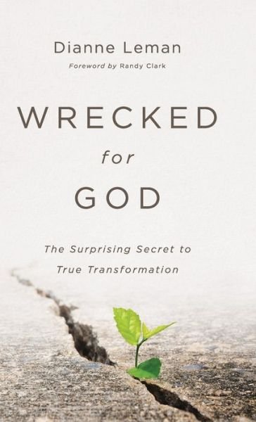 Cover for Dianne Leman · Wrecked for God (Hardcover Book) (2021)