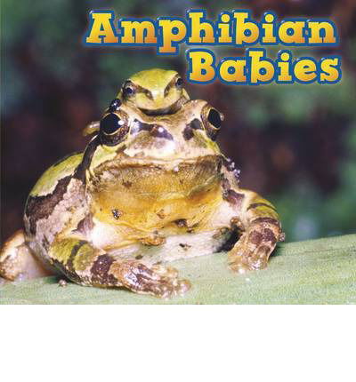 Cover for Catherine Veitch · Amphibian Babies - Animal Babies (Paperback Book) (2014)