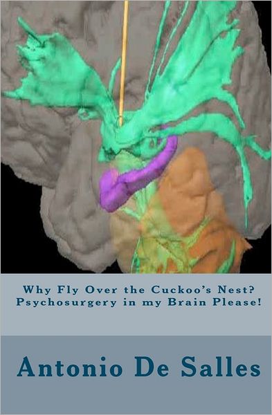 Cover for Antonio De Salles · Why Fly over the Cuckoo's Nest? Psychosurgery in My Brain Please! (Paperback Book) (2011)