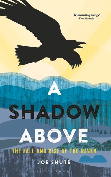 Cover for Joe Shute · A Shadow Above: The Fall and Rise of the Raven (Paperback Book) (2019)