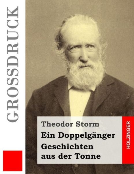 Cover for Theodor Storm · Ein Doppelgänger / Geschichten Aus Der Tonne (Großdruck) (German Edition) (Paperback Bog) [German, Lrg edition] (2013)