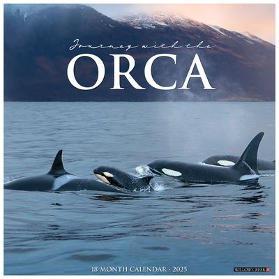 Willow Creek Press · Orca (Journey with The) 2025 12 X 12 Wall Calendar (Kalender) (2024)