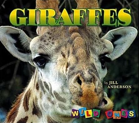 Cover for Jill Anderson · Giraffes - Wild Ones (Pocketbok) (2005)
