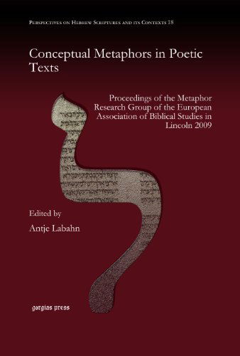 Cover for Antje Labahn · Conceptual Metaphors in Poetic Texts: Proceedings of the Metaphor Research Group of the European Association of Biblical Studies in Lincoln 2009 - Perspectives on Hebrew Scriptures and its Contexts (Hardcover Book) (2013)