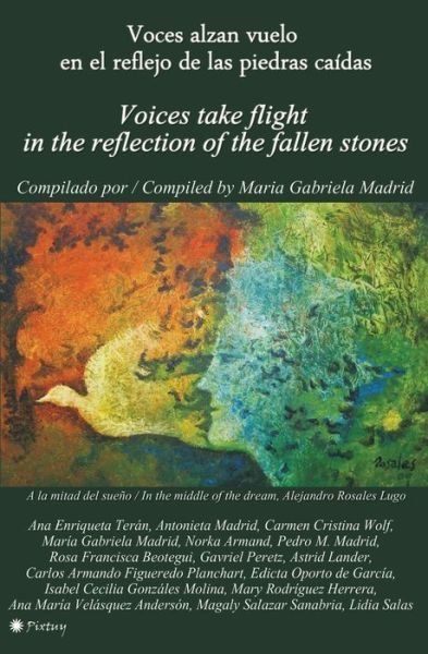 Cover for Ana Enriqueta Teran · Voces Alzan Vuelo en El Reflejo De Las Piedras Caidas: Voices Take Flight in the Reflection of the Fallen Stones (Paperback Book) (2015)