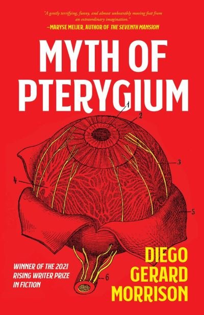Cover for Diego Gerard Morrison · Myth of Pterygium (Paperback Book) (2022)