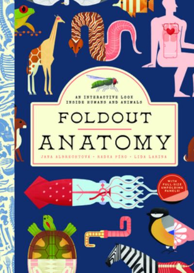 Cover for Jana Albrechtova · Foldout Anatomy: An Interactive Look Inside Humans and Animals (Hardcover Book) (2022)