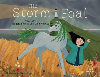 Cover for Megsie Bray · The Storm Foal (Paperback Book) (2022)