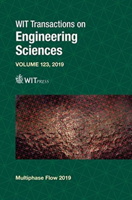 Cover for S. Hernandez · Computational &amp; Experimental Methods in Multiphase &amp; Complex Flow X (Inbunden Bok) (2019)