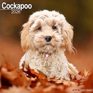 Cover for Cockapoo Calendar 2026  Square Dog Breed Wall Calendar - 16 Month (Calendar) (2025)