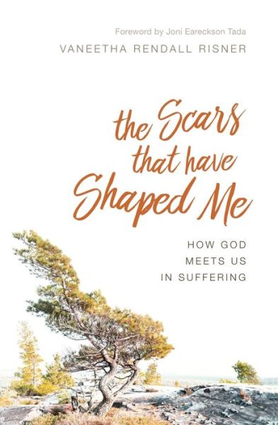 Cover for Vaneetha Rendall Risner · The Scars That Have Shaped Me (Paperback Book) (2017)