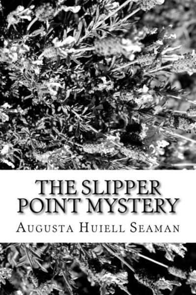Cover for Augusta Huiell Seaman · The Slipper Point Mystery (Paperback Book) (2017)