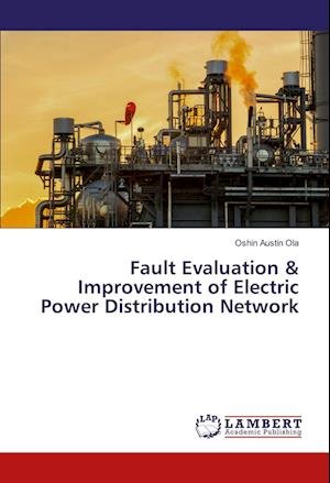 Cover for Ola · Fault Evaluation &amp; Improvement of E (Book)