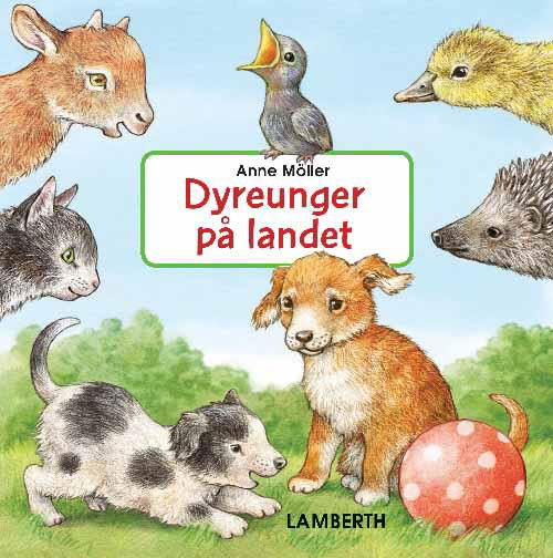 Cover for Anne Möller · Dyreunger på landet (Innbunden bok) [1. utgave] (2017)