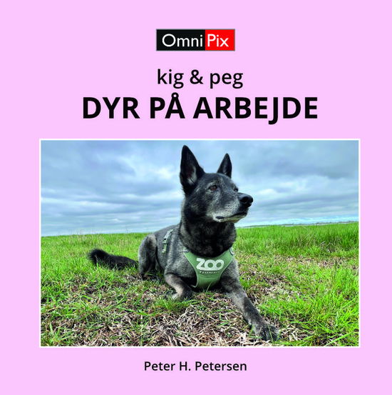 Cover for Peter H. Petersen · Kig &amp; peg: DYR PÅ ARBEJDE (Hardcover Book) [1er édition] (2024)