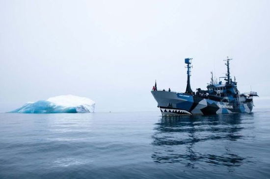 Cover for David Hance · Sea Shepherd: 40 Years: The Official Book (Hardcover bog) (2018)