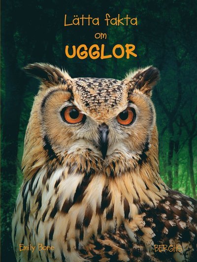 Cover for Emily Bone · Lätta fakta: Lätta fakta om ugglor (Gebundesens Buch) (2014)