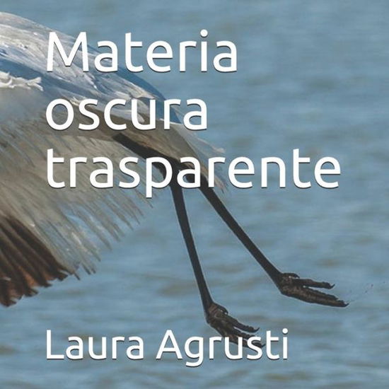 Materia oscura trasparente - Laura Agrusti - Books - Independently Published - 9798613095292 - February 12, 2020