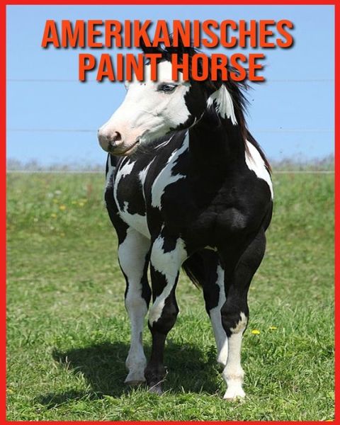 Cover for Alicia Moore · Amerikanisches Paint Horse (Paperback Book) (2021)