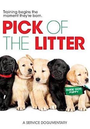 Cover for Pick of the Litter (DVD) (2018)