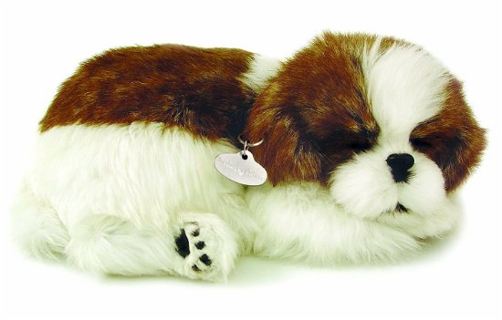 Cover for N/a · N/a - Perfect Petzzz Soft Shih Tzu (96293) (Toys)