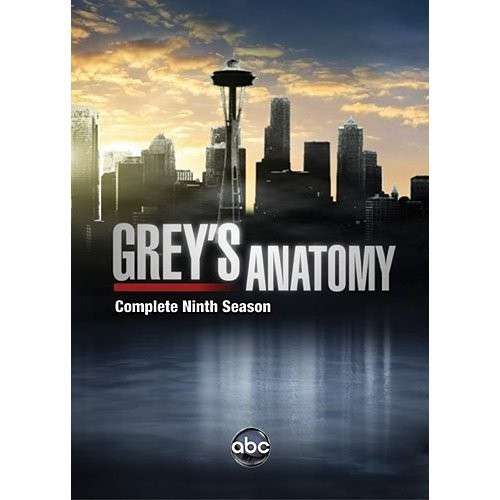 Cover for Grey's Anatomy: the Complete Ninth Season (DVD) (2013)