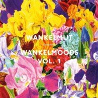 Cover for Wankelmut · Wankelmoods Vol.1 (CD) [Japan Import edition] (2013)