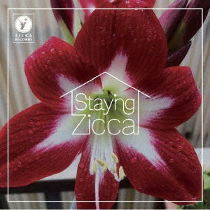 Cover for Char · Staying Zicca (CD) [Japan Import edition] (2020)